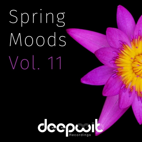 VA - Spring Moods, Vol. 11 [DWRS025]